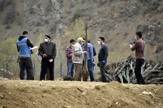 Ceviz yetiştiriciliği geliştirme projesi kapsamında üreticilere 5 bin 600 ceviz fidanı dağıtıldı