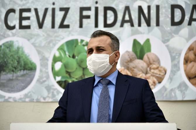 Ceviz yetiştiriciliği geliştirme projesi kapsamında üreticilere 5 bin 600 ceviz fidanı dağıtıldı