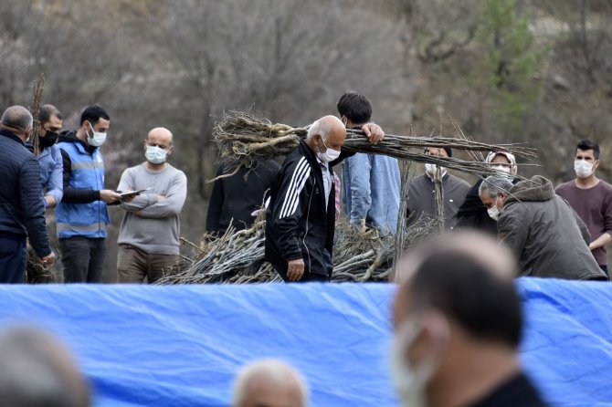 Ceviz yetiştiriciliği geliştirme projesi kapsamında üreticilere 5 bin 600 ceviz fidanı dağıtıldı