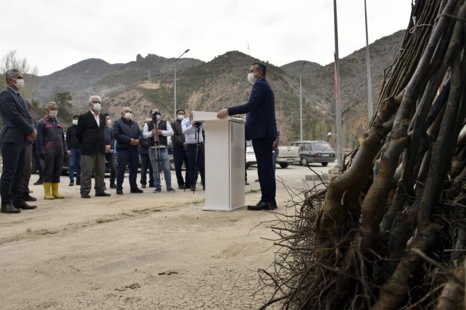 Ceviz yetiştiriciliği geliştirme projesi kapsamında üreticilere 5 bin 600 ceviz fidanı dağıtıldı