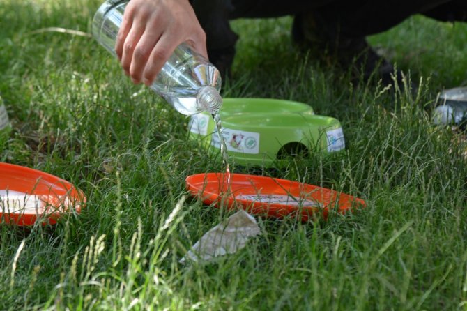 Kahramankazan, havalar ısınırken sokak hayvanlarını unutmadı