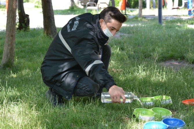 Kahramankazan, havalar ısınırken sokak hayvanlarını unutmadı
