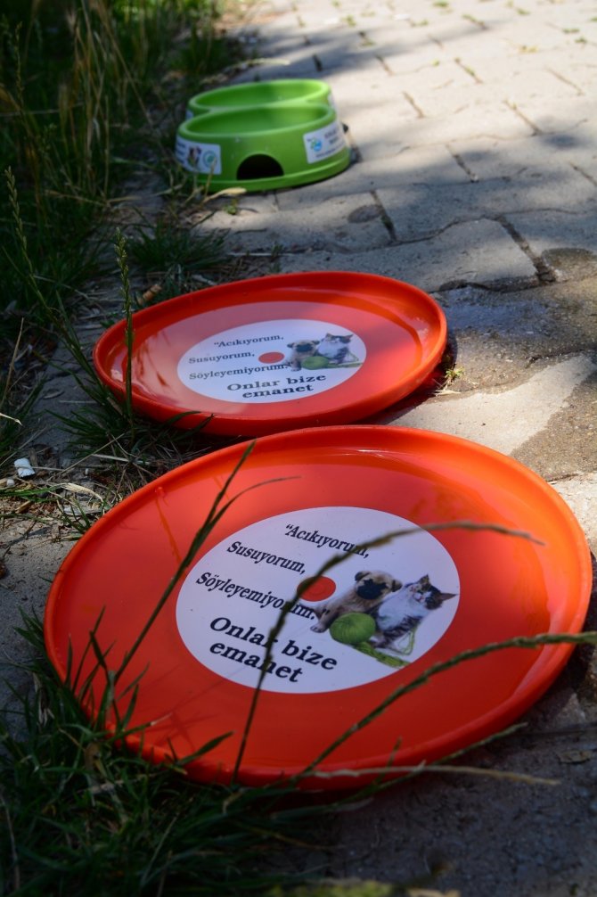 Kahramankazan, havalar ısınırken sokak hayvanlarını unutmadı