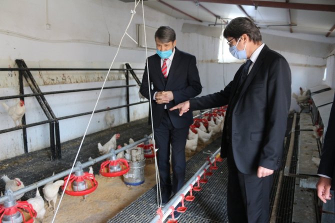 Öğretmenlerden ilginç proje! Tavuk yetiştirip yumurta satarak 18 öğrenciye burs sağladılar