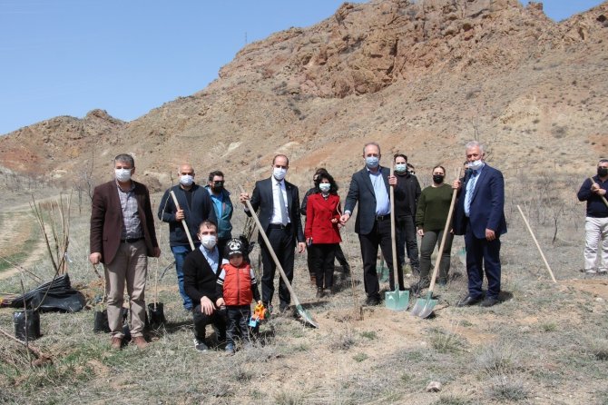 Oltulu akademisyenler okul bahçesine fidan dikti