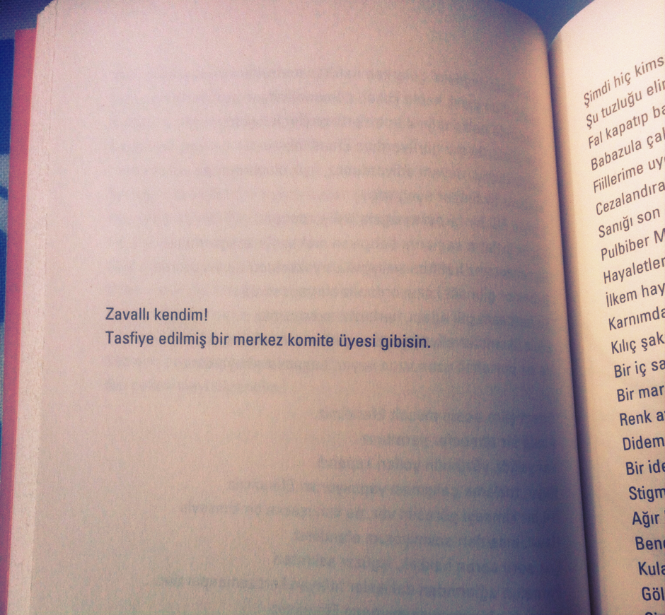 Didem Madak kimdir, nerelidir, kaç yaşında öldü? Didem Madak şiirleri, sözleri resimli 