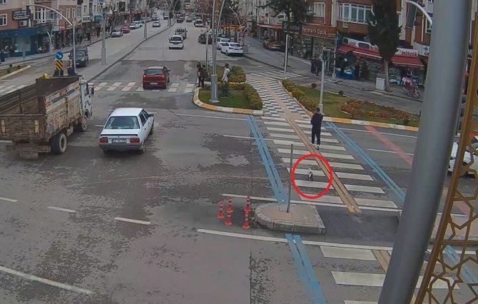 Karşıya geçmek için yaya geçidini kullanan kedi görenleri gülümsetti