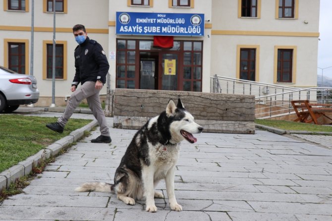 Ölmek üzere olan köpeği polisler sağlığına kavuşturdu