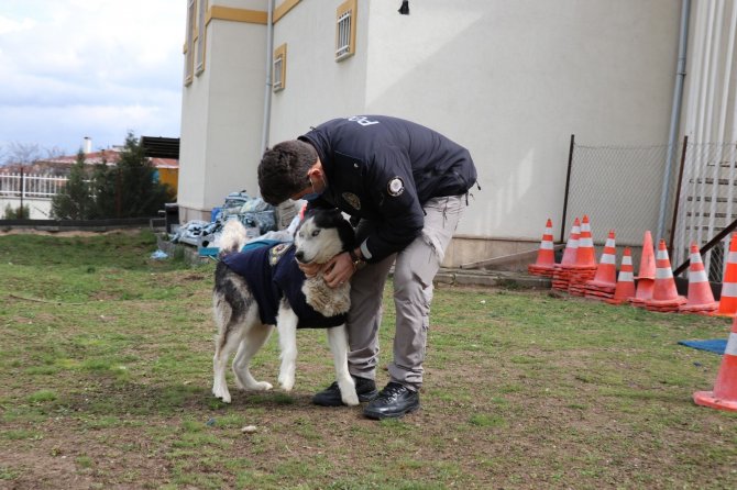 Ölmek üzere olan köpeği polisler sağlığına kavuşturdu