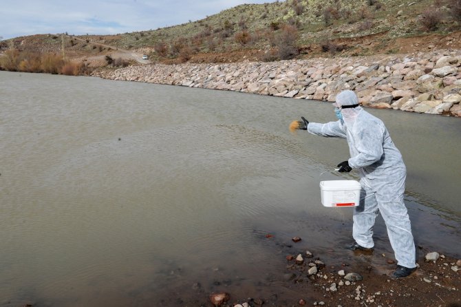 Talas’ta sinek ve haşeratlar için erkenden önlem alındı