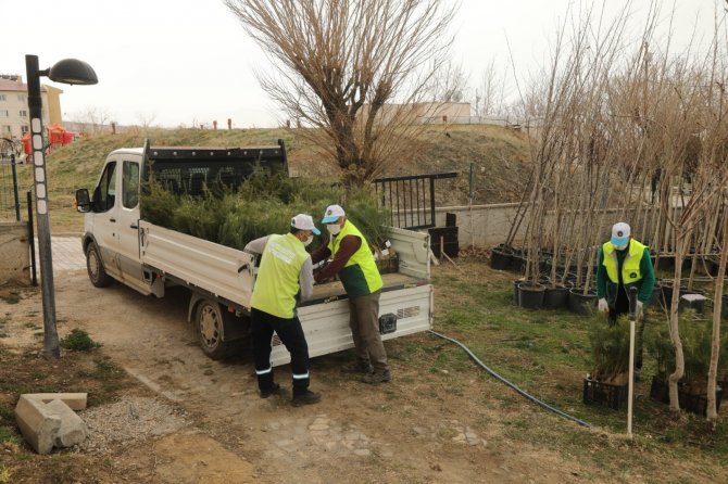 Bugünün fidanları yarınlara nefes olacak! Van'da vatandaşlara ücretsiz fidan dağıtımı