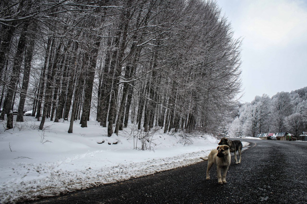Domaniç Dağları Nisan karıyla beyaza büründü, Kartpostallık görüntüler oluştu