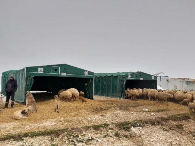 Koyunlarıyla birlikte yaylada mahsur kaldılar! Koyuncuların imdadına Kocasinan Belediyesi yetişti