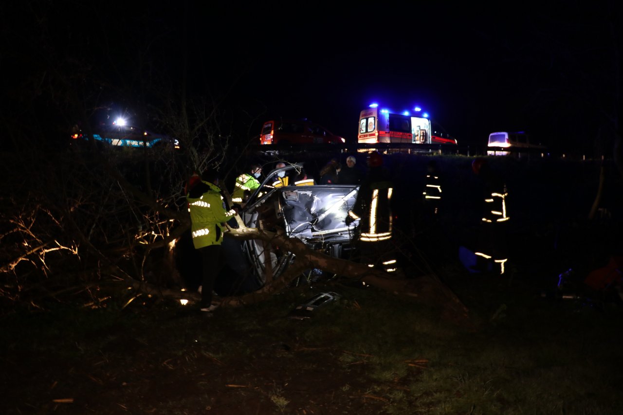 Sakarya'da ağaca çarpan pikabın sürücüsü öldü