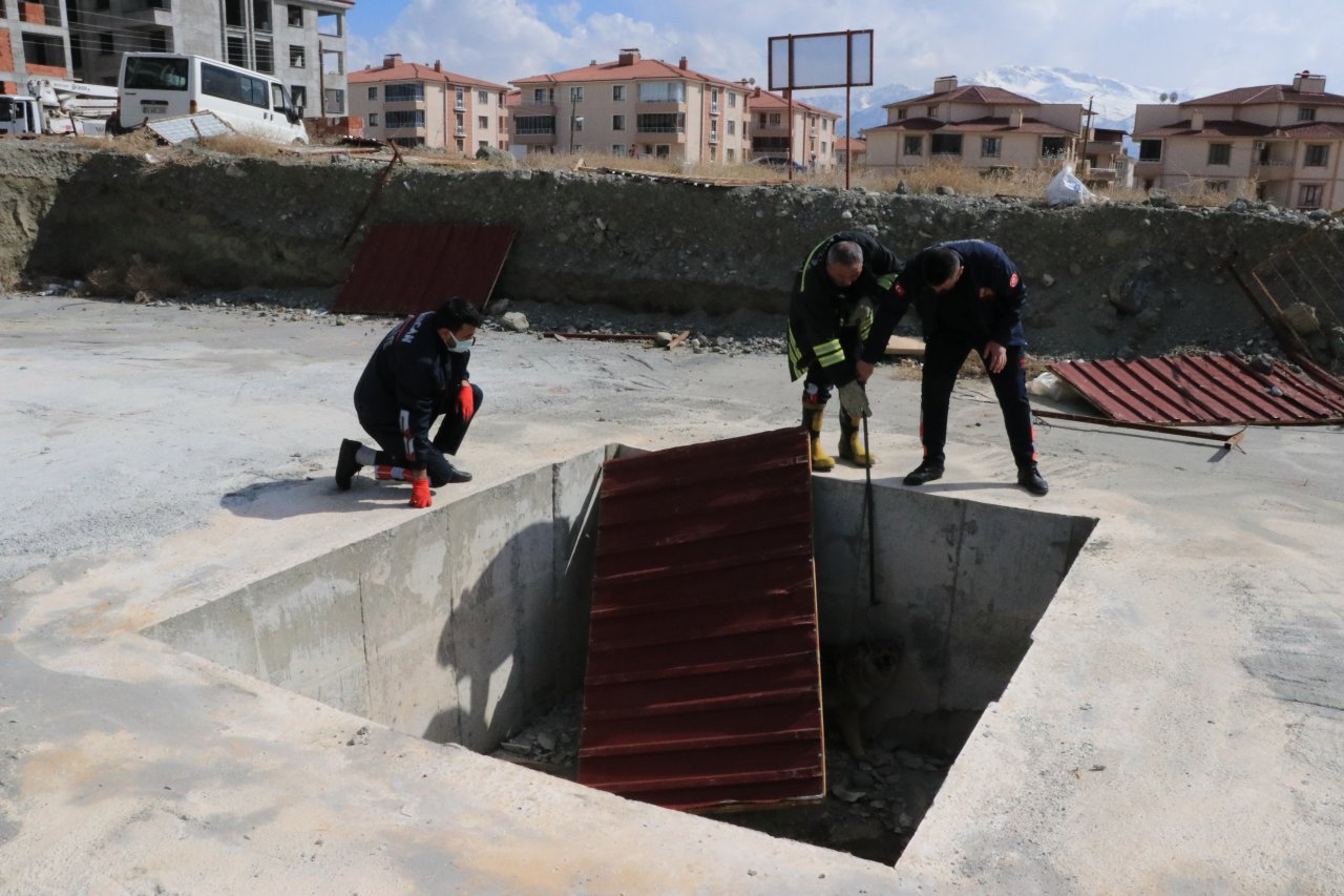 Vatandaşlar havlama seslerini duydu, Erzincan'da inşaat çukuruna düşen köpeği itfaiye ekipleri kurtardı