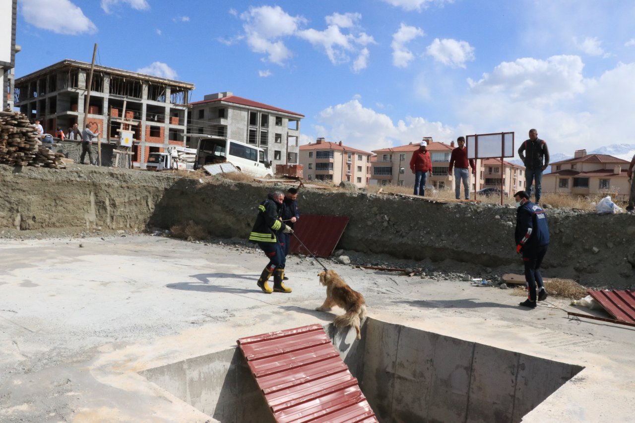 Vatandaşlar havlama seslerini duydu, Erzincan'da inşaat çukuruna düşen köpeği itfaiye ekipleri kurtardı