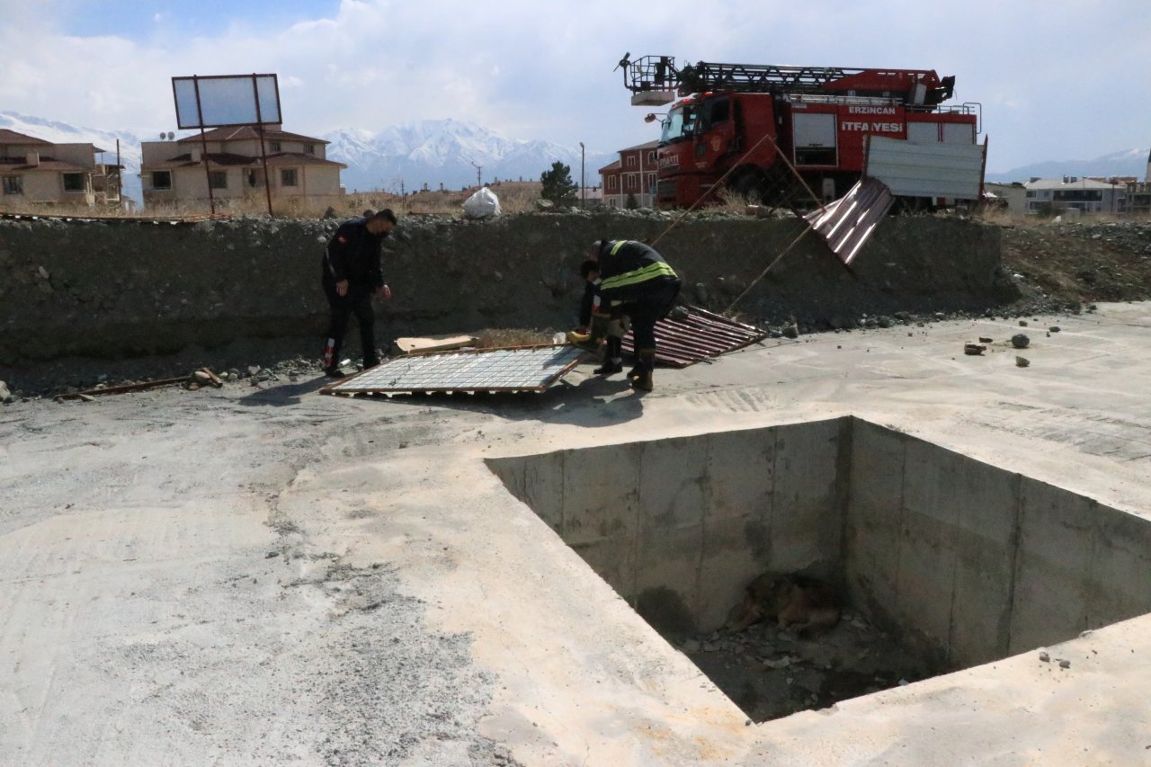 Vatandaşlar havlama seslerini duydu, Erzincan'da inşaat çukuruna düşen köpeği itfaiye ekipleri kurtardı