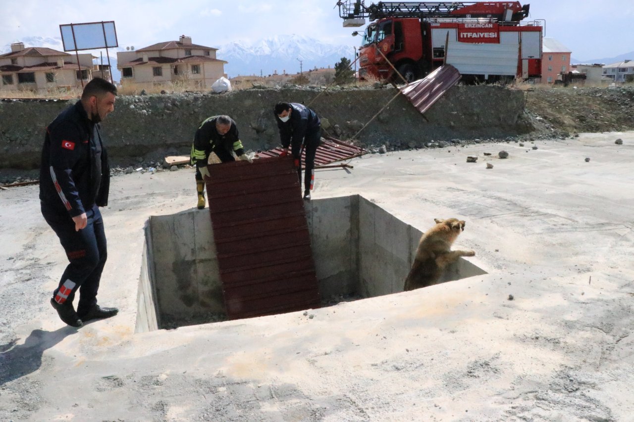 Vatandaşlar havlama seslerini duydu, Erzincan'da inşaat çukuruna düşen köpeği itfaiye ekipleri kurtardı