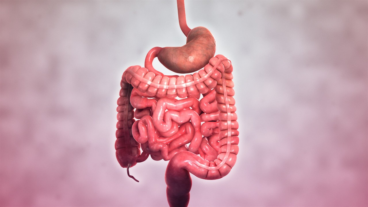 Crohn hastalığı nedir, belirtileri nelerdir? Crohn hastalığı tedavisi var mı, tanısı nasıl konur?