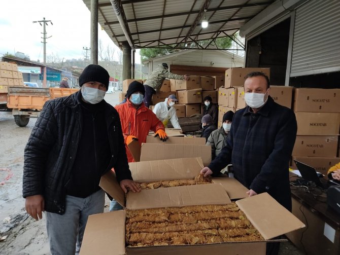 Alaçam tütün alımına başladı