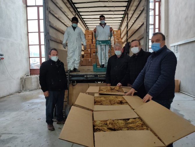 Alaçam tütün alımına başladı