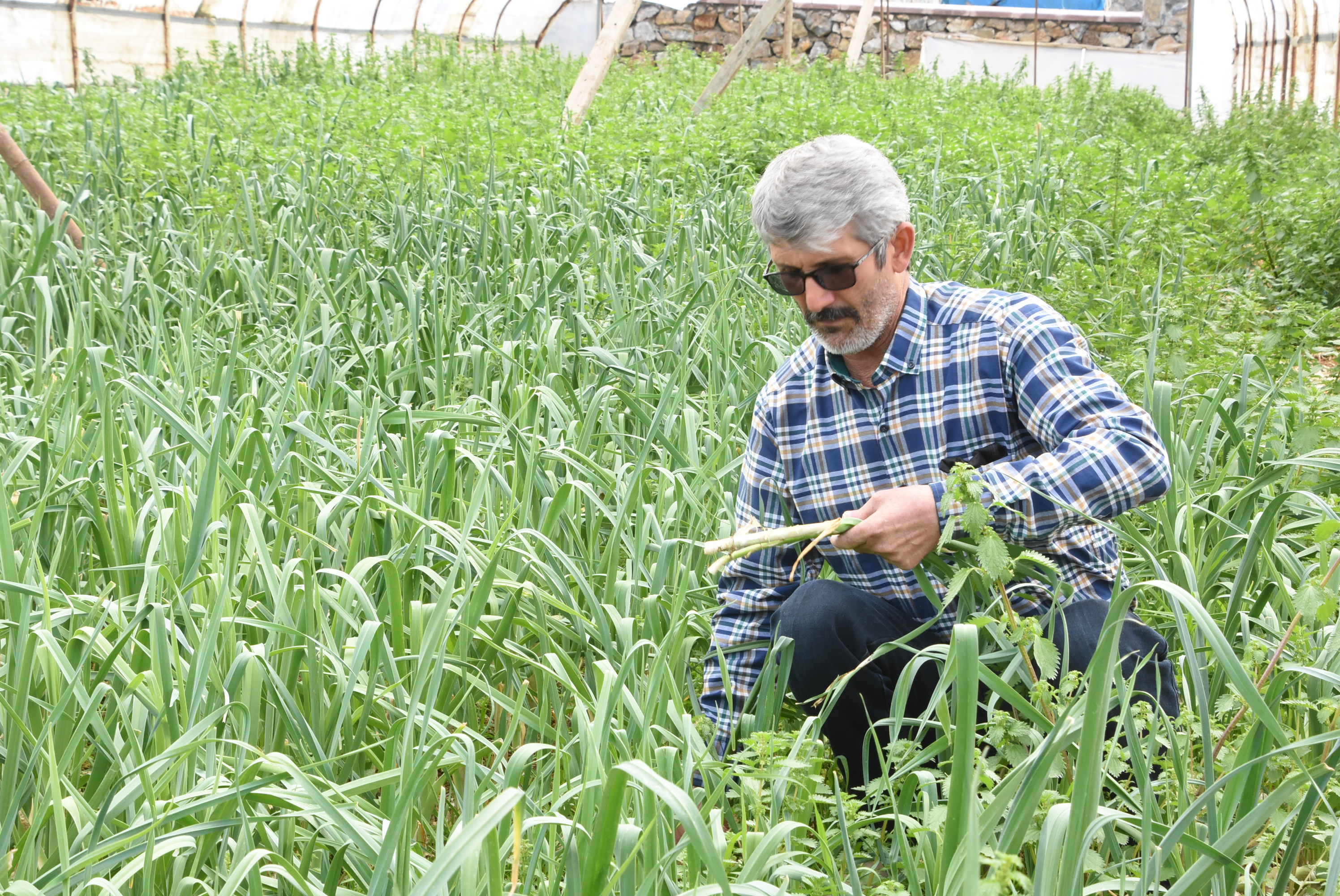 Pendik'te köyler bölgesi çiftçilerini sevindiren haber! Pazar yeri desteği geliyor