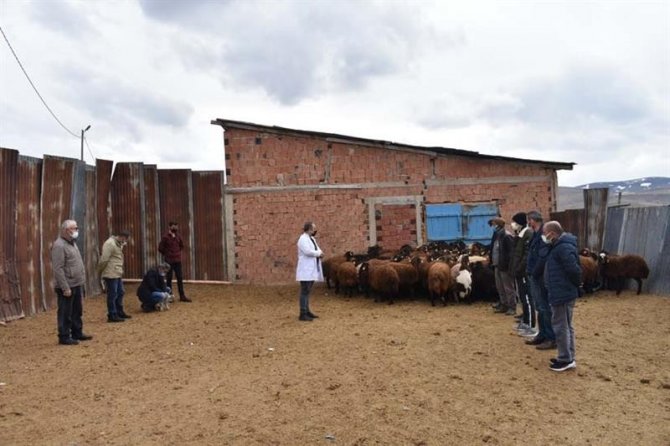 Bayburt’ta açılan çobanlık kursunun dersleri tamamlandı