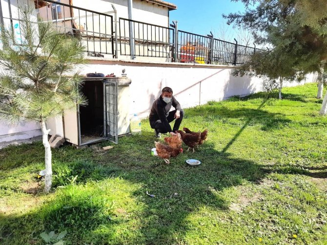 Çocuklara sorumluluk duygusu aşılamak için okul bahçesine tavuk kümesi yapıldı