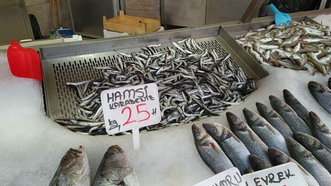 Karadeniz'de balıkçılar sezonu erken bitirdi