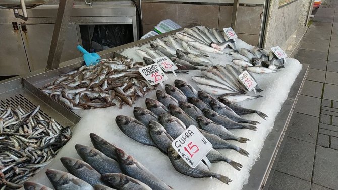 Karadeniz'de balıkçılar sezonu erken bitirdi