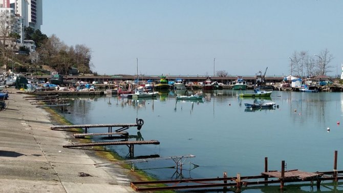 Karadeniz'de balıkçılar sezonu erken bitirdi