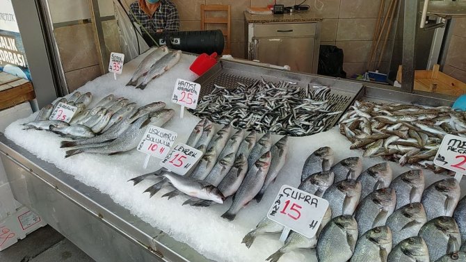 Karadeniz'de balıkçılar sezonu erken bitirdi