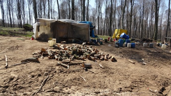 Mağdur olduğunu söyleyen Orman köylüsü kesim hakkını geri istiyor