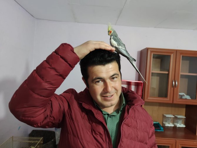 Papağan, sahibini işe "Ölürüm Türkiye'm" parçasıyla uğurluyor