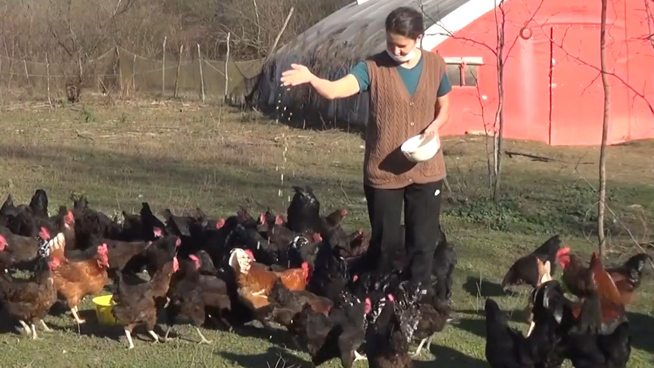 Resmi Gazete'de yayımlandı! Şehirden göçe teşvik kanunu: Vergiden muaf tutulacaklar!