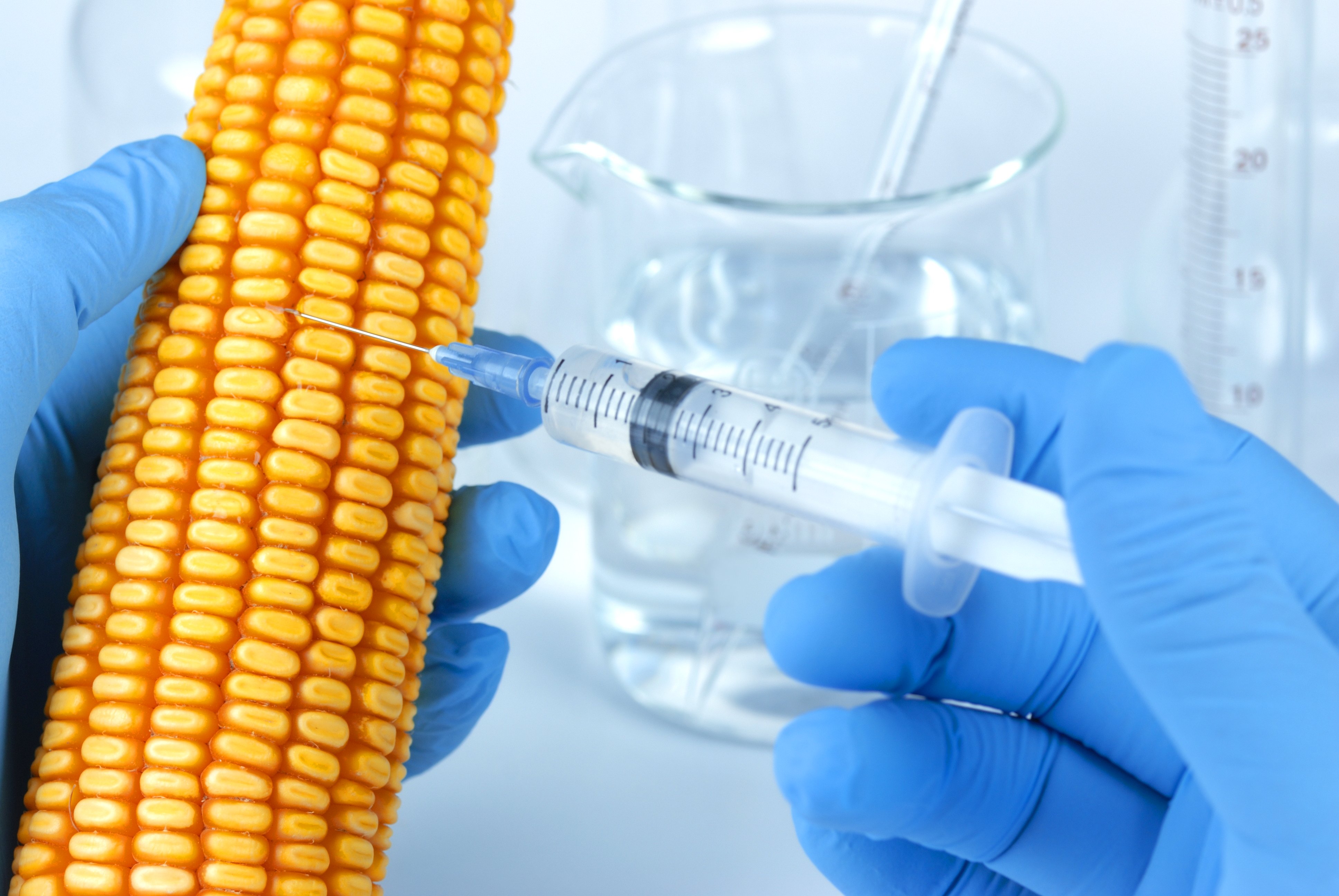 Uzman Diyetisyen Eda Balcı GDO lu ürünler hakkında uyarı yaptı