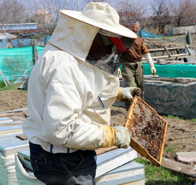 Bal yapmak için harekete geçtiler! Erzincan’da kıştan çıkan arılar çiçeklerle buluştu