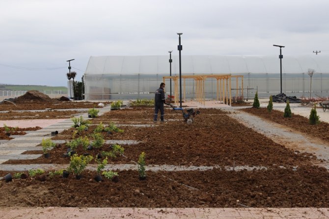 Bitkilerin yaşam koşulları yerinde görülecek! Yaşam Bahçesi, faaliyete geçmek için gün sayıyor