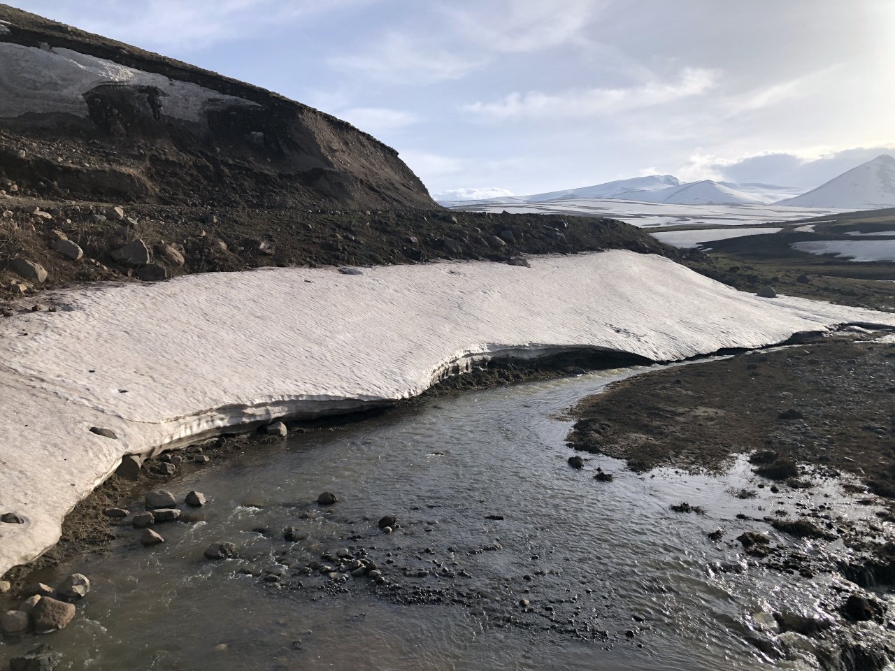 Doğa uyanmaya başladı! Aras Dağları karların erimesiyle renklendi