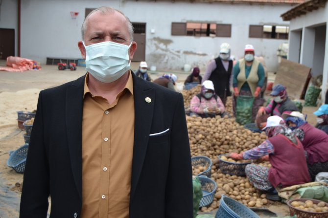 Erdoğan talimat vermişti, TMO’nun patates alımı Manisalı çiftçilerin yüzünü güldürdü