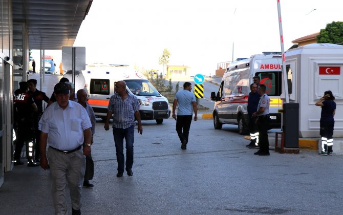 Havalar ısındı, arı sokmalarına dikkat! Ciddi alerjik reaksiyonlar ölüme sebep olabilir