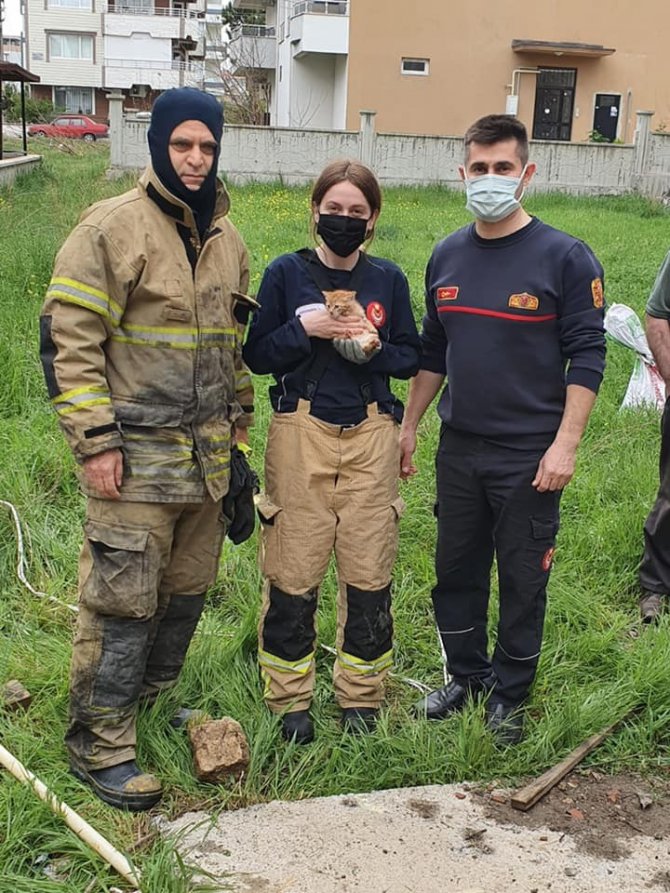 Kuyuya düşen yavru kedinin yardımına itfaiye ekipleri koştu