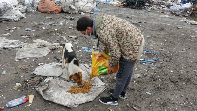 Sahipsiz sokak hayvanlarına merhamet eli! Mama yetiştirmekte zorlanıyorlar