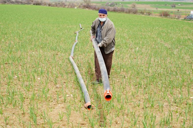 Üreticilerin yüzü güldü! Dünyaca ünlü Taşköprü sarımsağı, AB’de coğrafi işaretle tescillendi