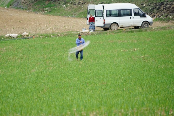 Üreticilerin yüzü güldü! Dünyaca ünlü Taşköprü sarımsağı, AB’de coğrafi işaretle tescillendi