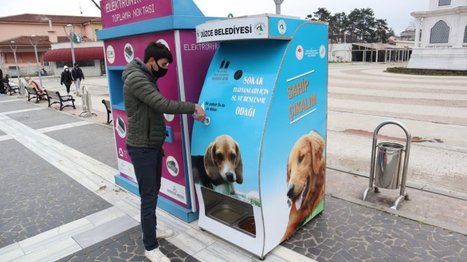 Düzce'de yerleştirilen mamamatikler sayesinde aç sokak hayvanı kalmayacak