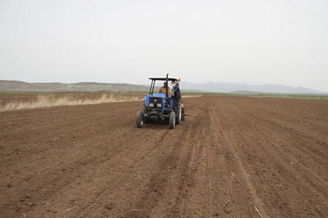 Kısıtlamadan muaf tutulan çiftçiler hafta sonu tarlada çalıştı
