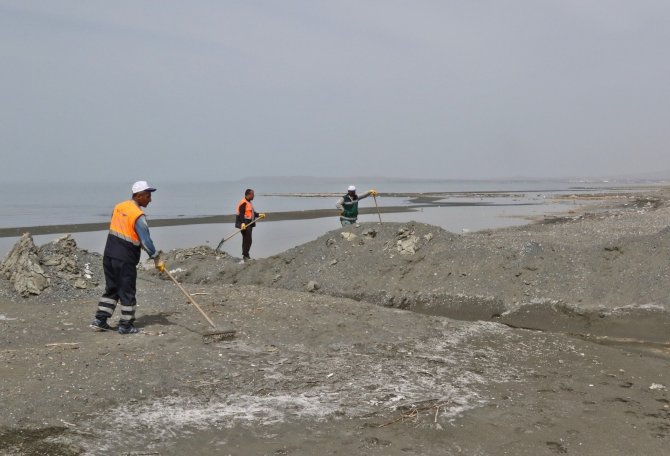 Van Gölü sahilinde temizlik çalışması başlatıldı