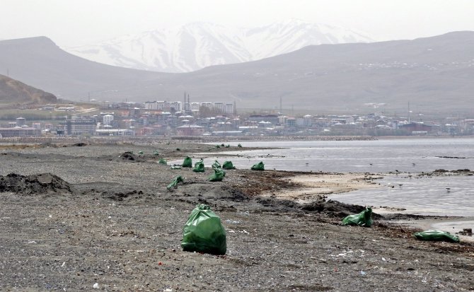 Van Gölü sahilinde temizlik çalışması başlatıldı