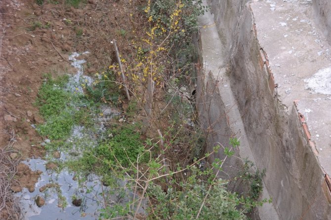 Aylardır sitedeki kötü koku yüzünden cam açamıyorlar